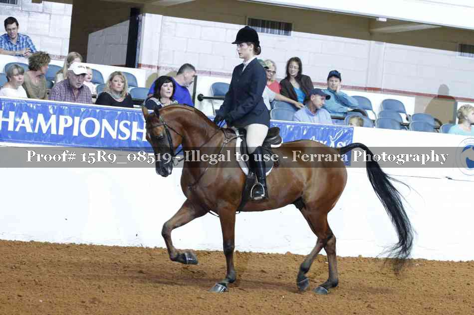Proof 15R9_08519