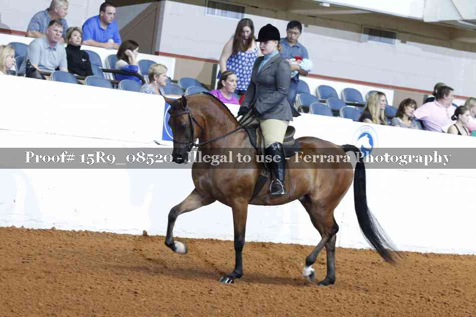 Proof 15R9_08520