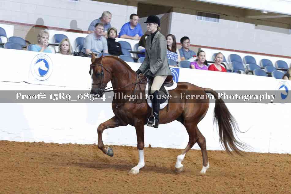 Proof 15R9_08524