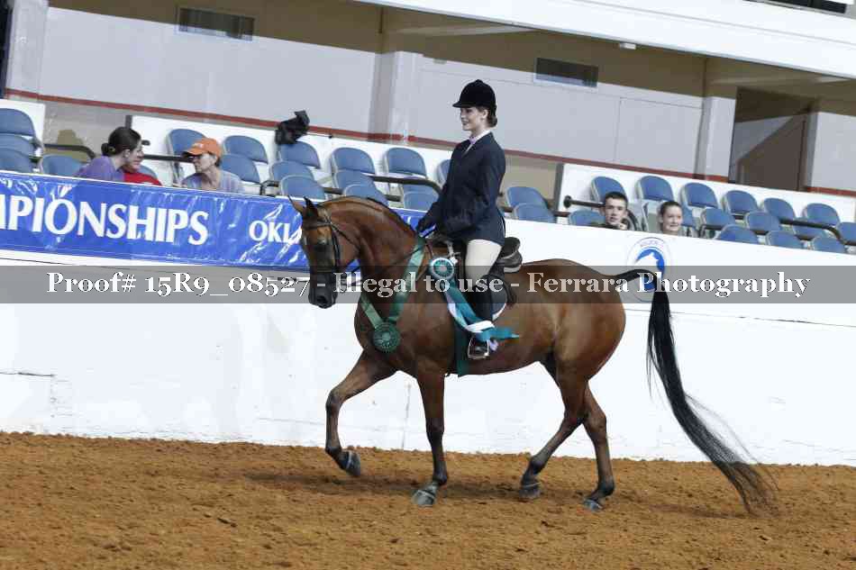 Proof 15R9_08527