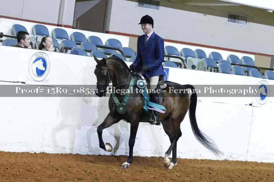 Proof 15R9_08531