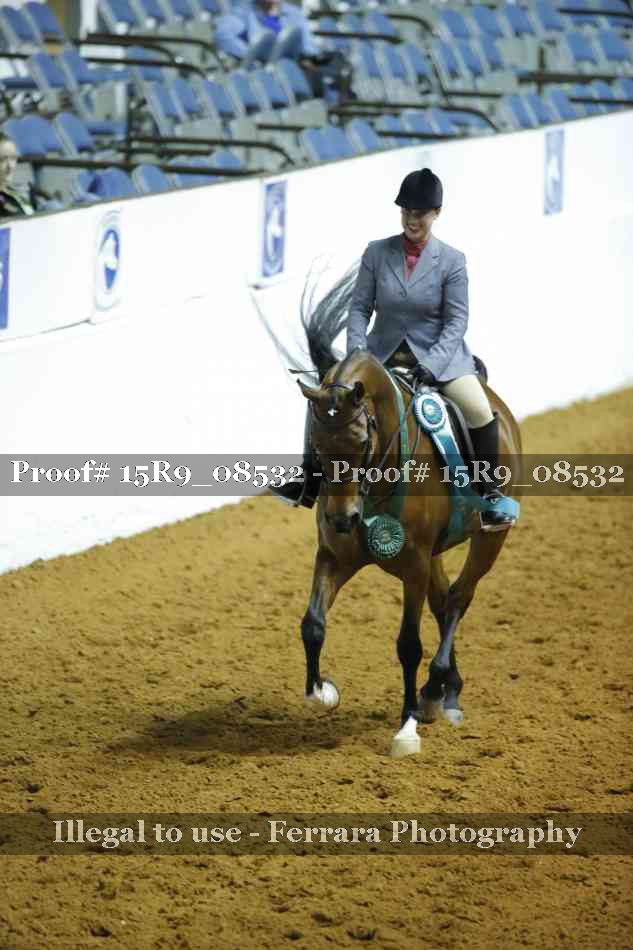 Proof 15R9_08532