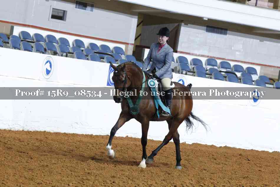 Proof 15R9_08534