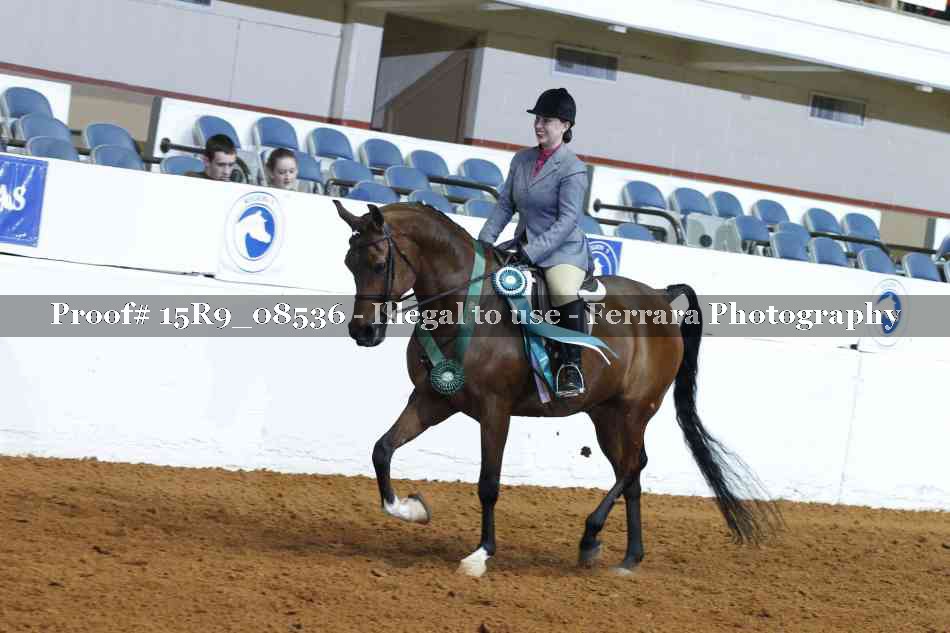 Proof 15R9_08536