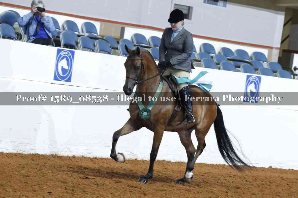 Proof 15R9_08538