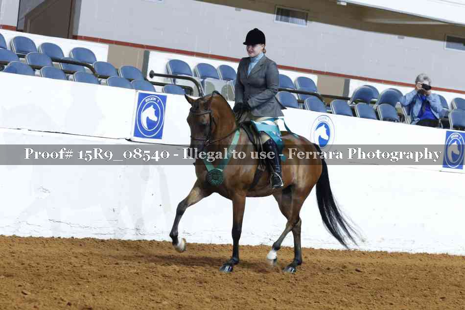 Proof 15R9_08540