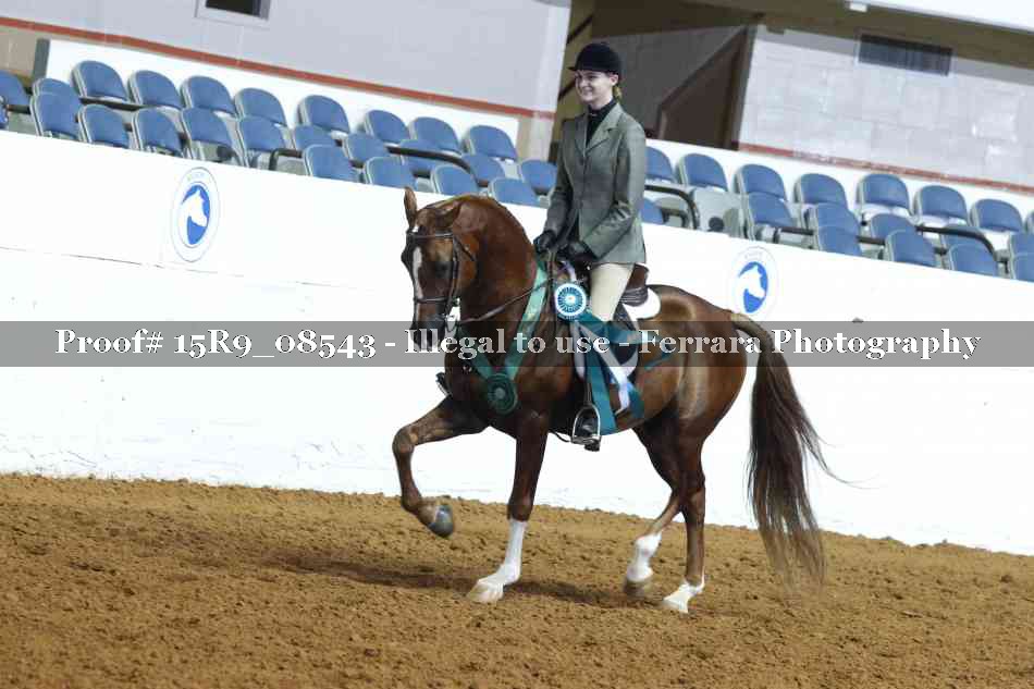 Proof 15R9_08543