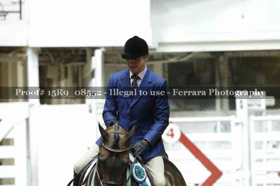 Proof 15R9_08552