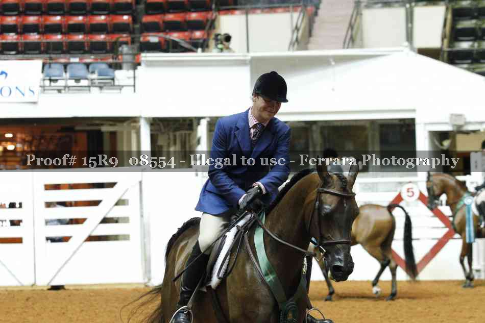 Proof 15R9_08554