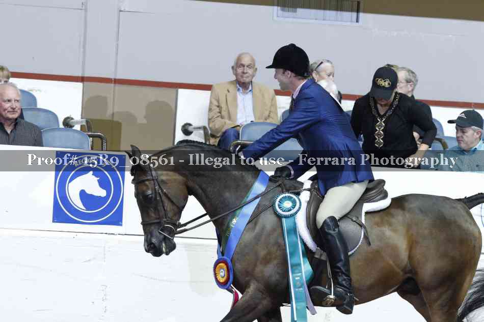Proof 15R9_08561