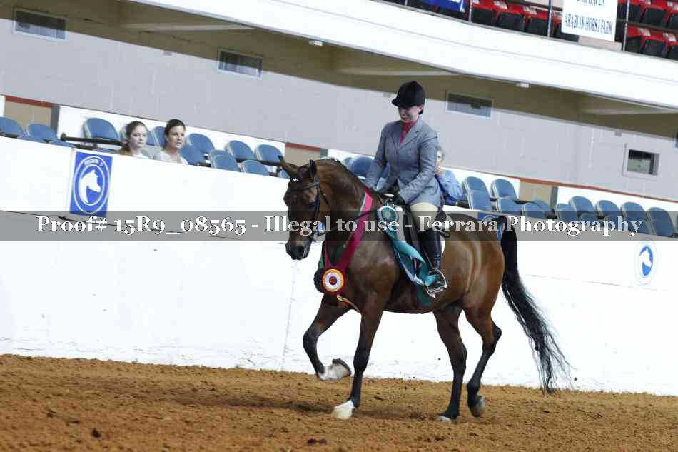 Proof 15R9_08565