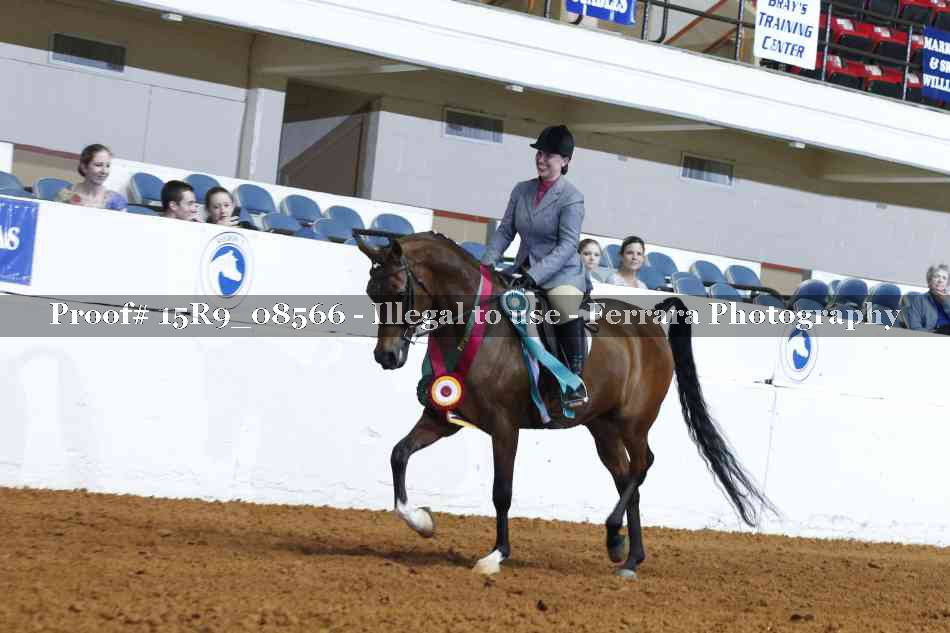 Proof 15R9_08566