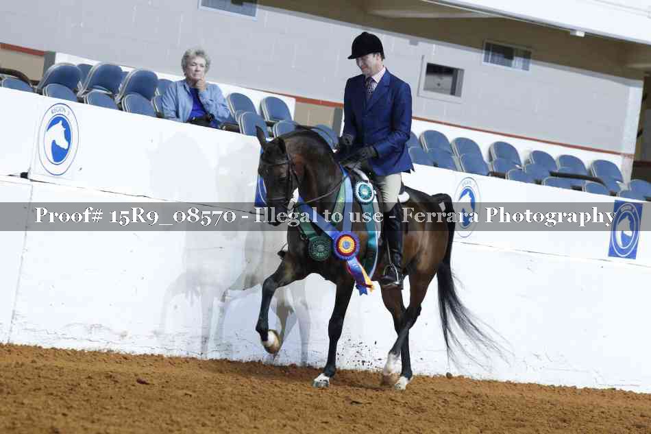 Proof 15R9_08570