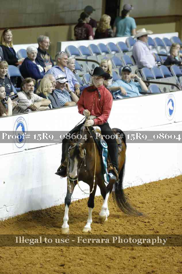 Proof 15R9_08604