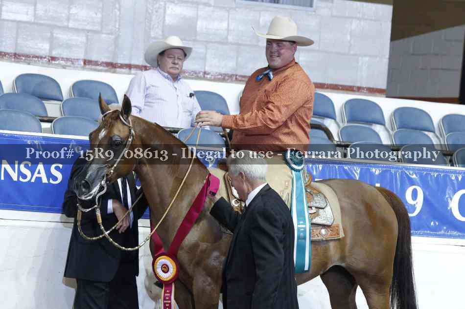 Proof 15R9_08613