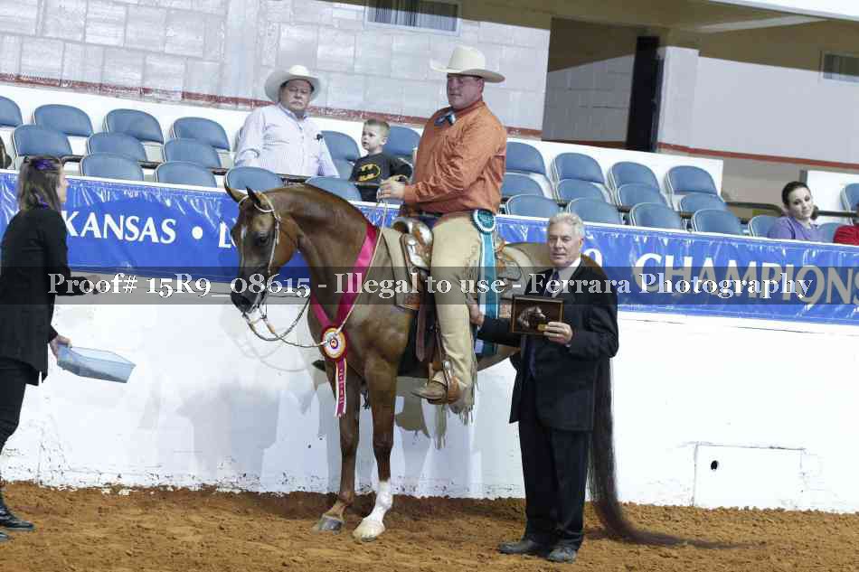 Proof 15R9_08615