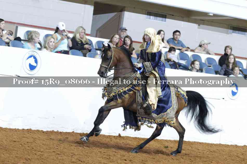 Proof 15R9_08666