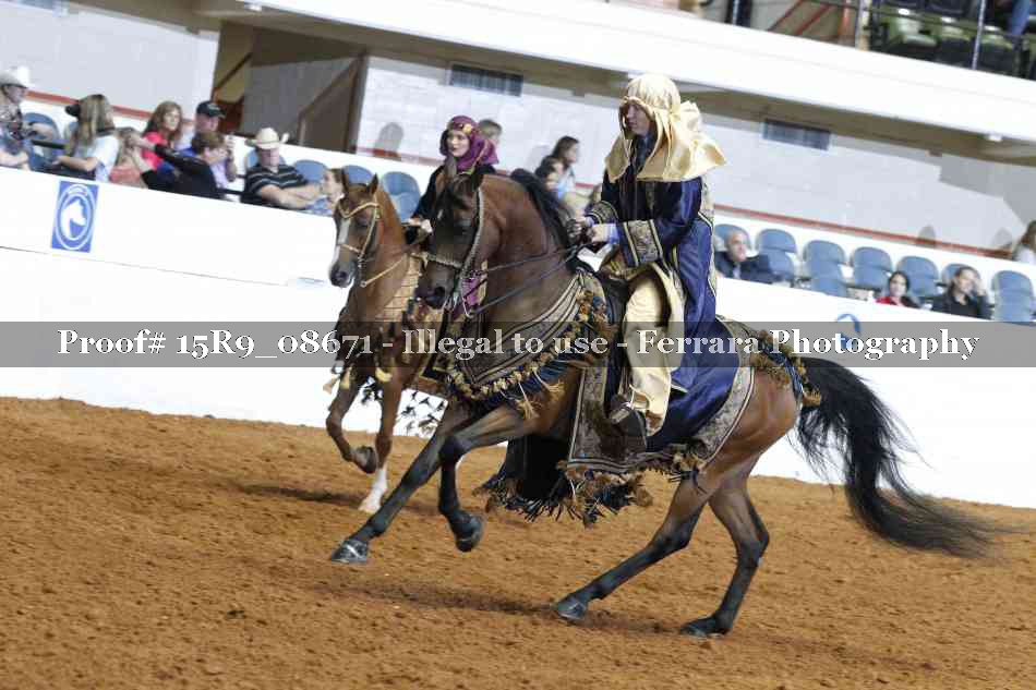 Proof 15R9_08671