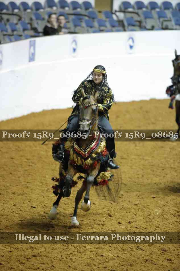 Proof 15R9_08685