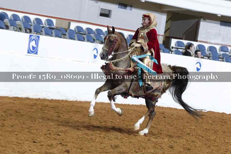Proof 15R9_08699