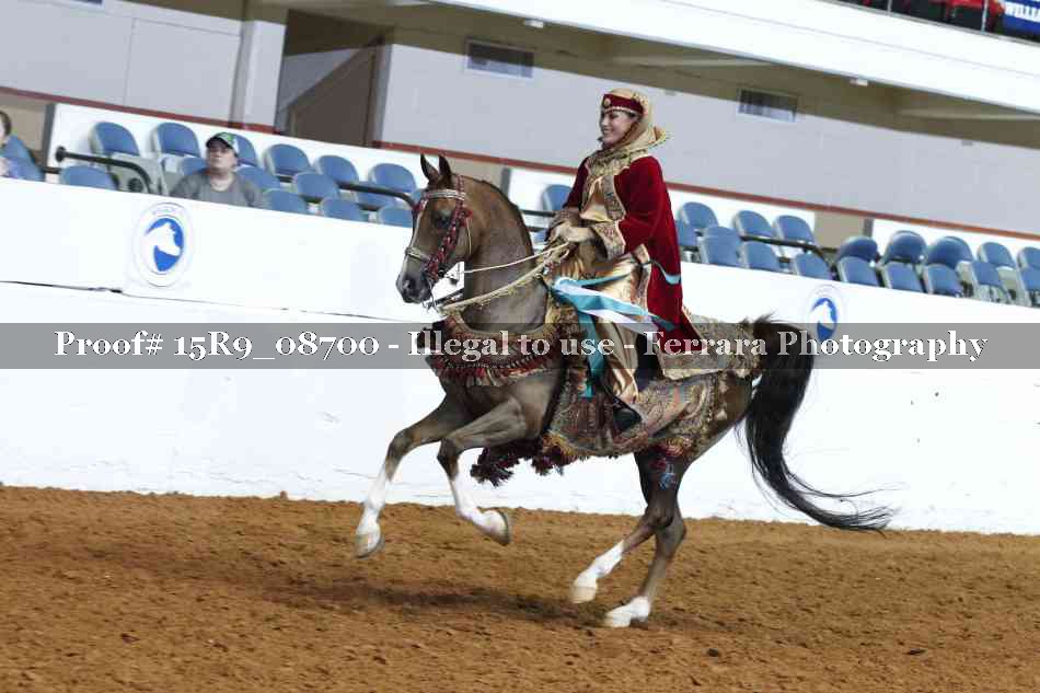 Proof 15R9_08700