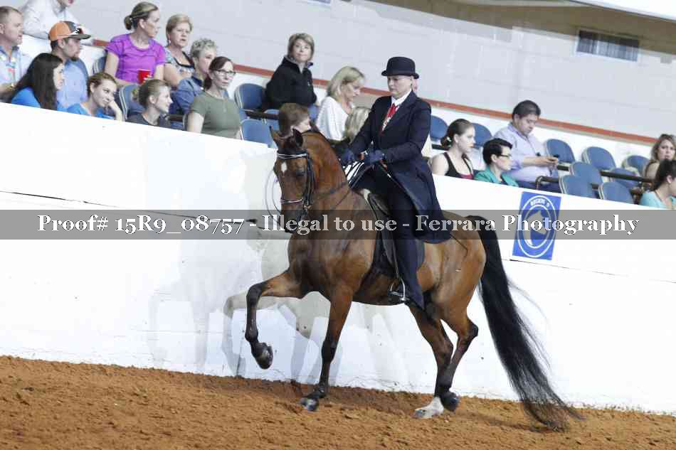 Proof 15R9_08757