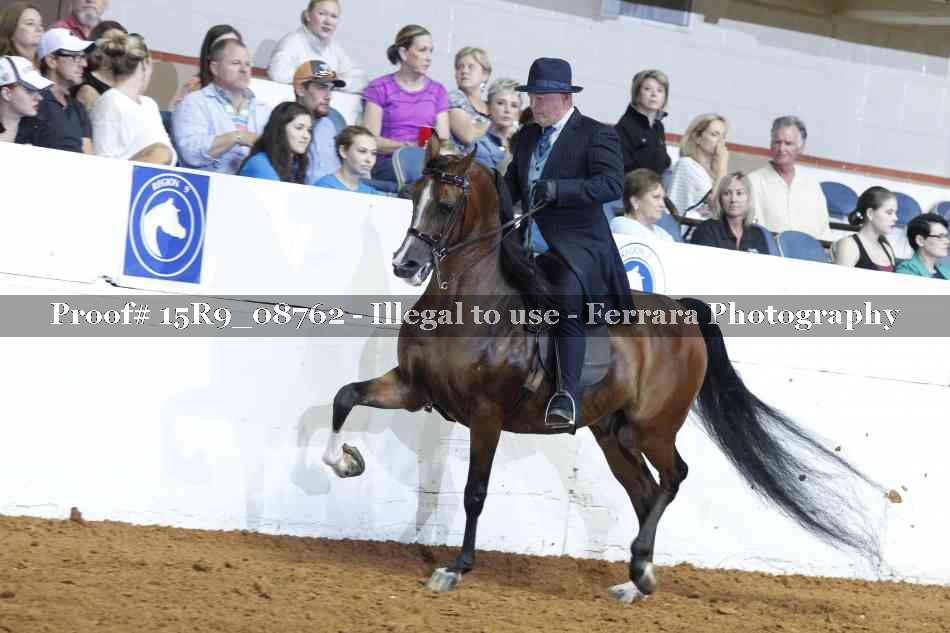 Proof 15R9_08762