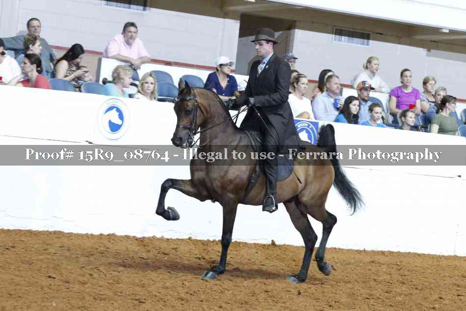 Proof 15R9_08764
