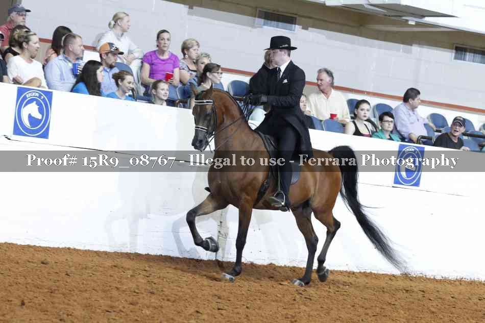 Proof 15R9_08767