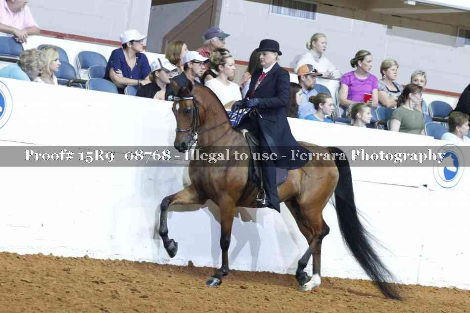 Proof 15R9_08768