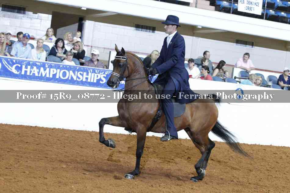 Proof 15R9_08772