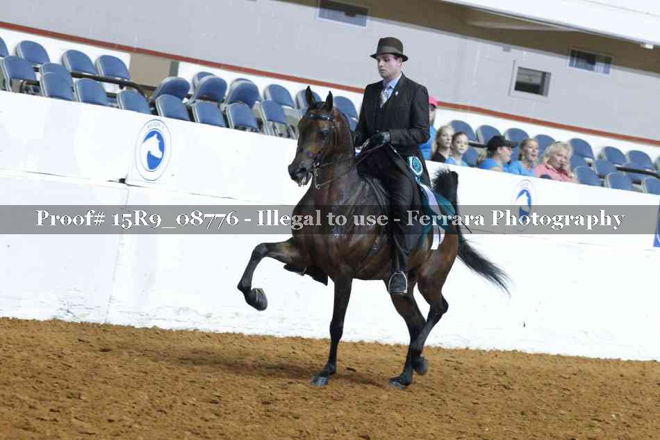 Proof 15R9_08776