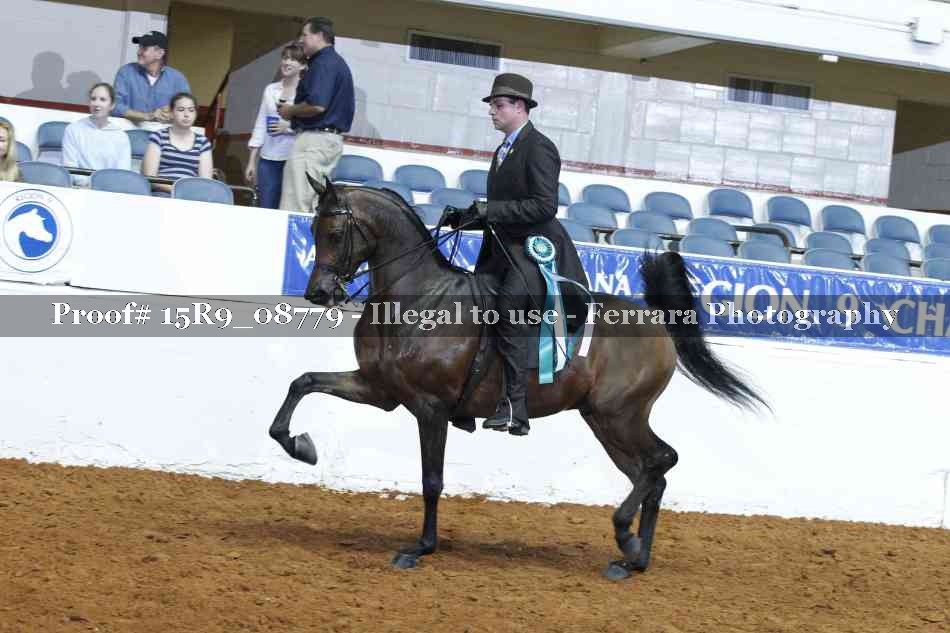 Proof 15R9_08779