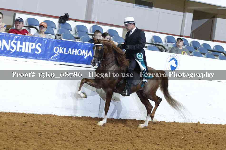 Proof 15R9_08786