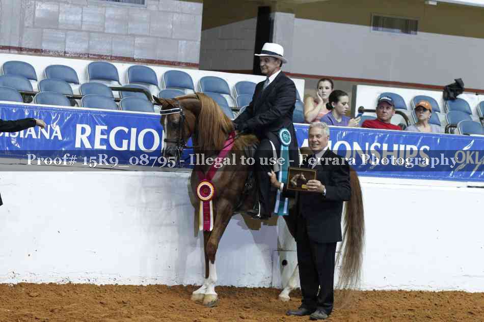 Proof 15R9_08795