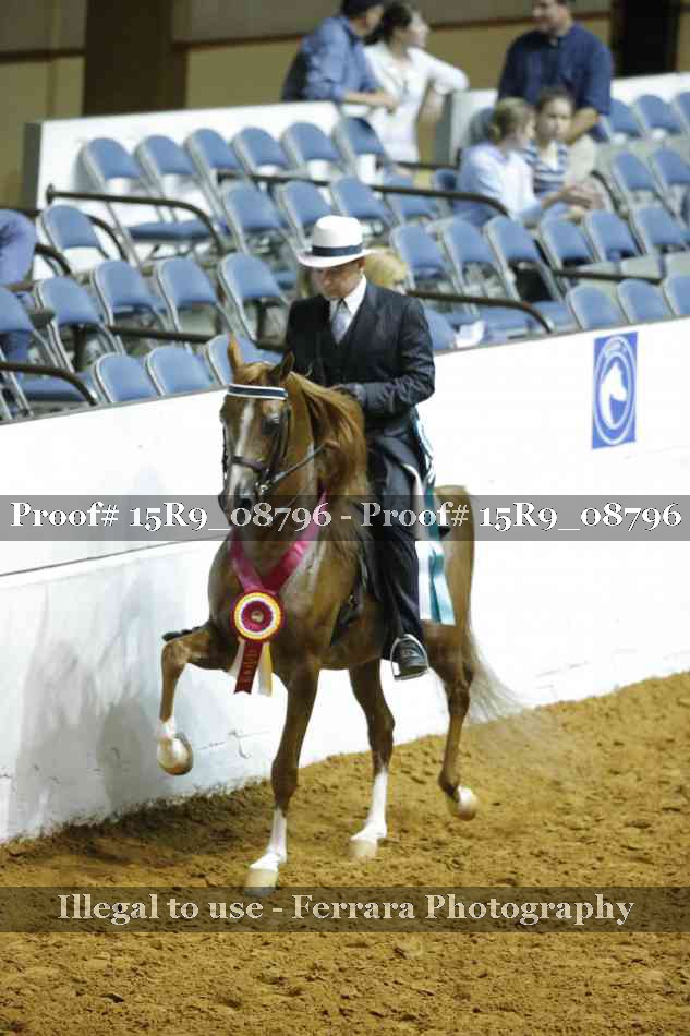 Proof 15R9_08796