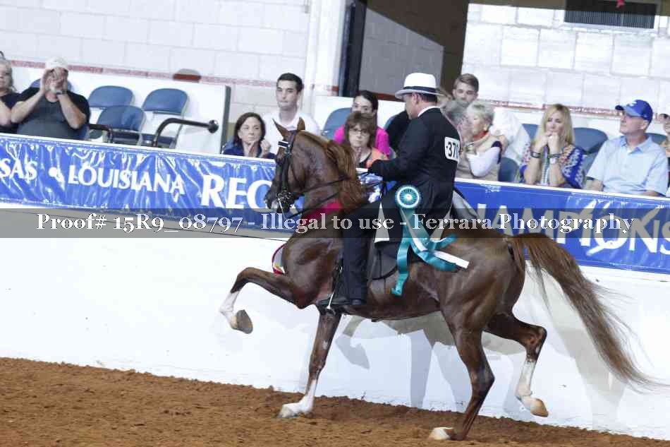 Proof 15R9_08797