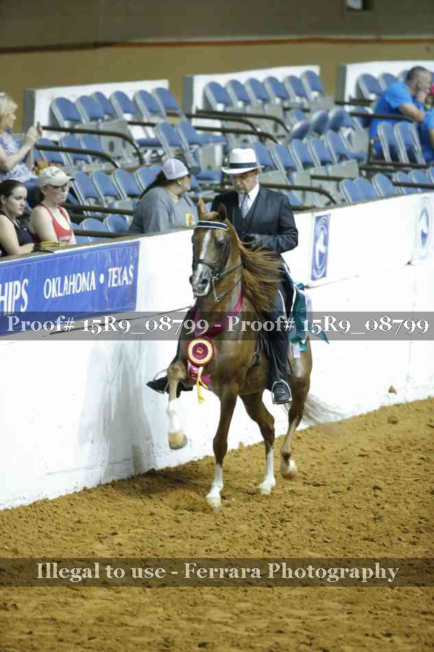 Proof 15R9_08799
