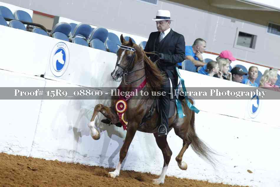 Proof 15R9_08800