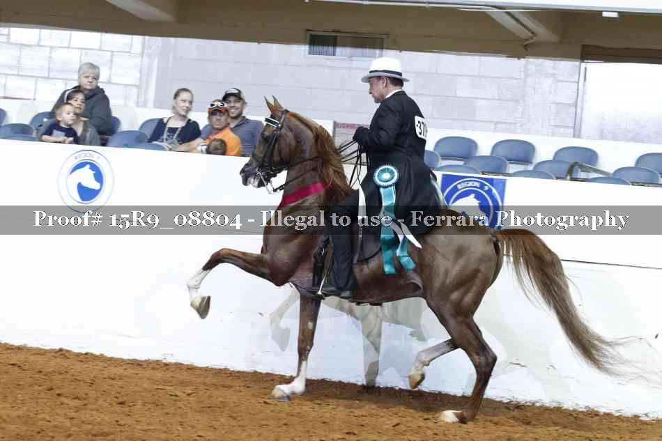 Proof 15R9_08804