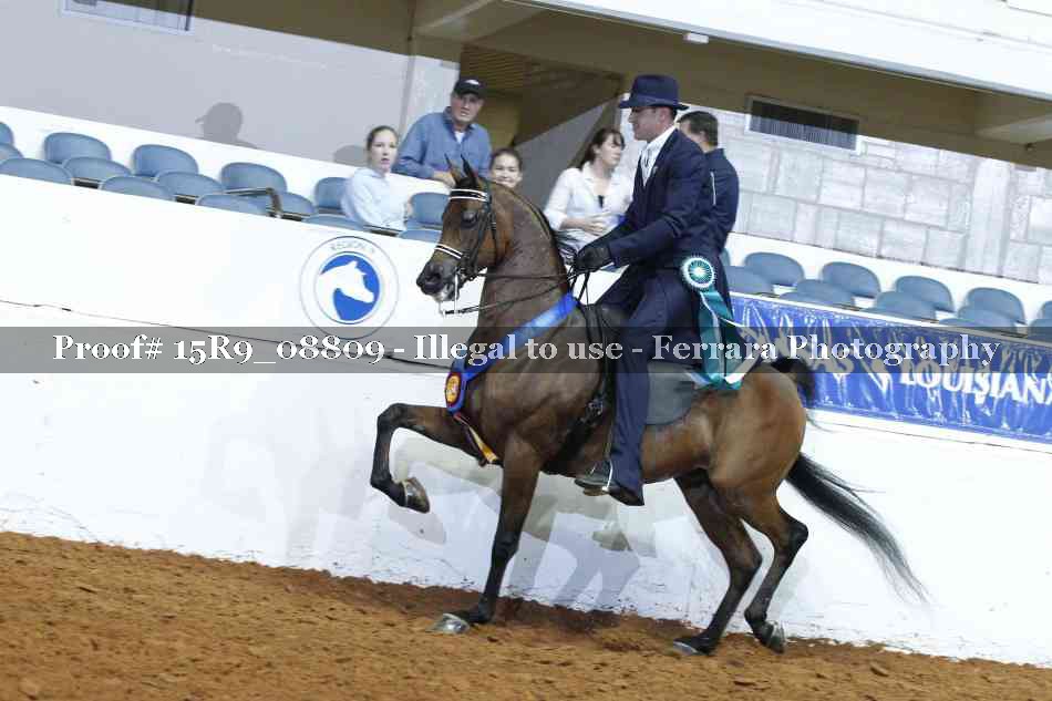 Proof 15R9_08809