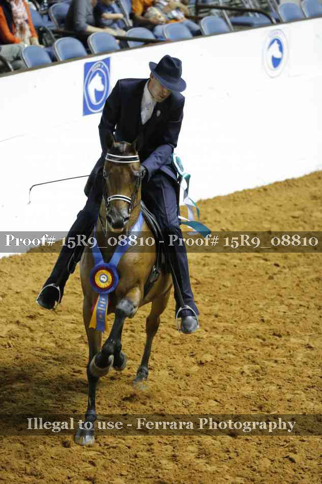 Proof 15R9_08810