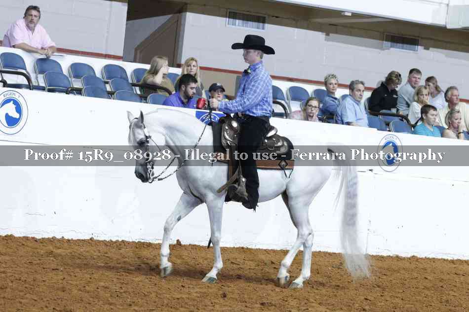 Proof 15R9_08928
