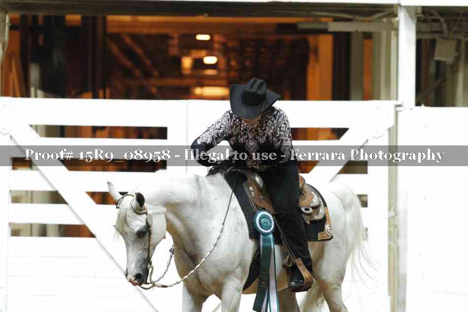 Proof 15R9_08958