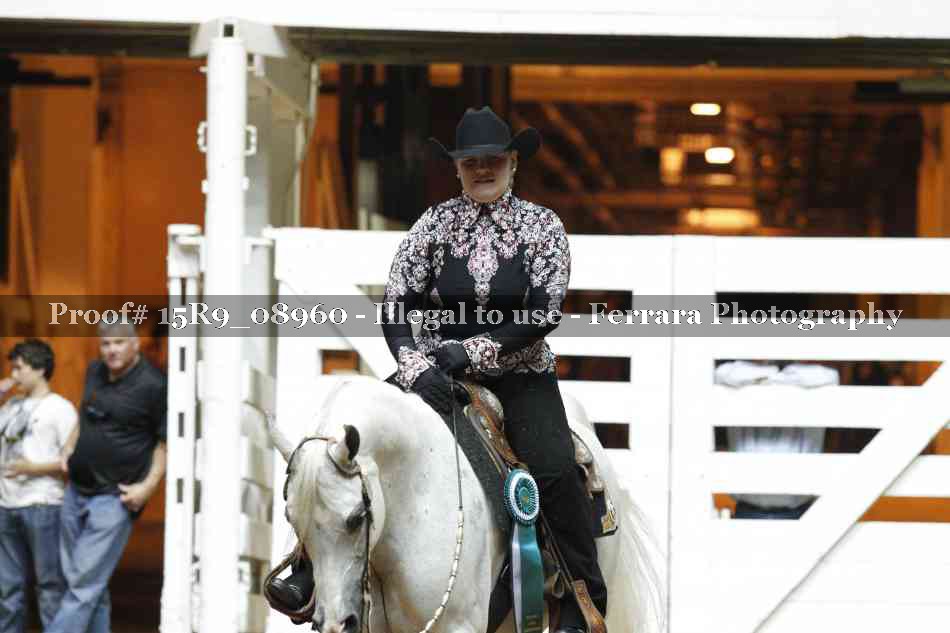 Proof 15R9_08960
