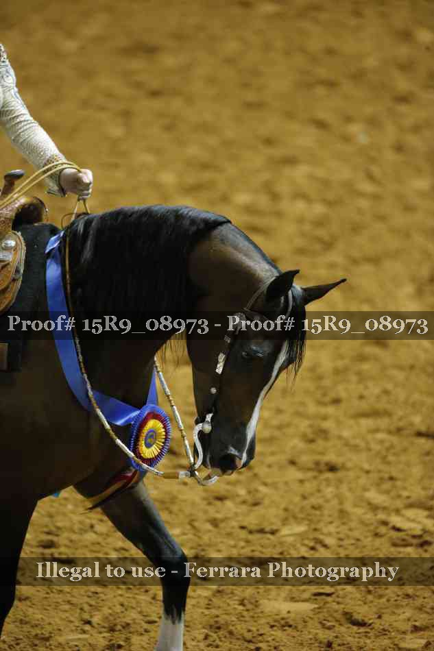 Proof 15R9_08973