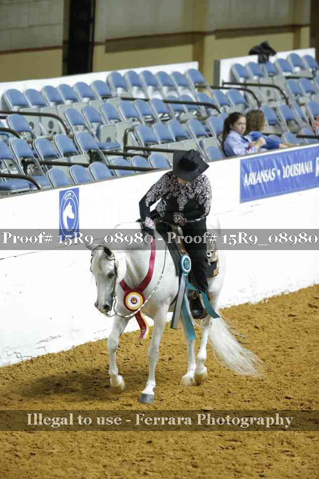 Proof 15R9_08980