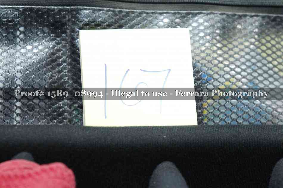 Proof 15R9_08994