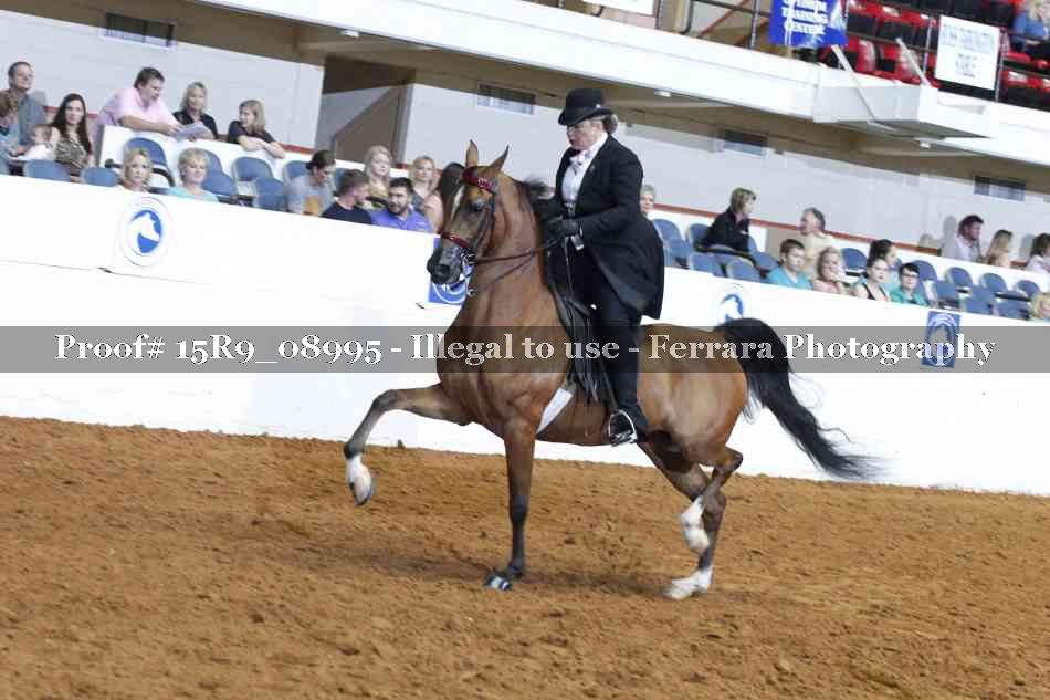 Proof 15R9_08995
