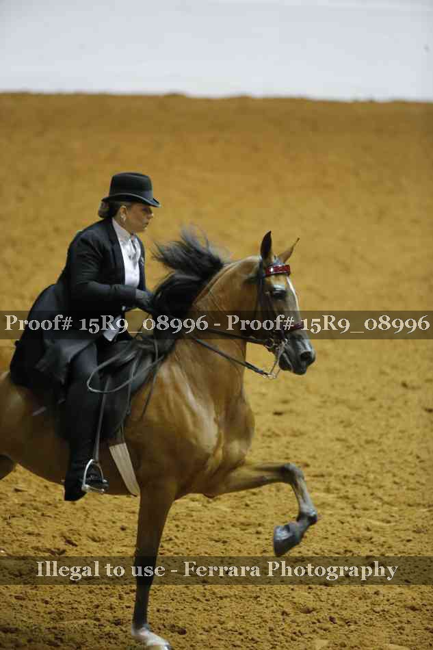 Proof 15R9_08996